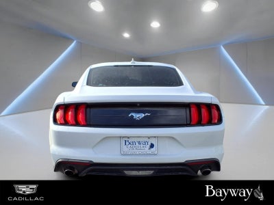 2022 Ford Mustang EcoBoost