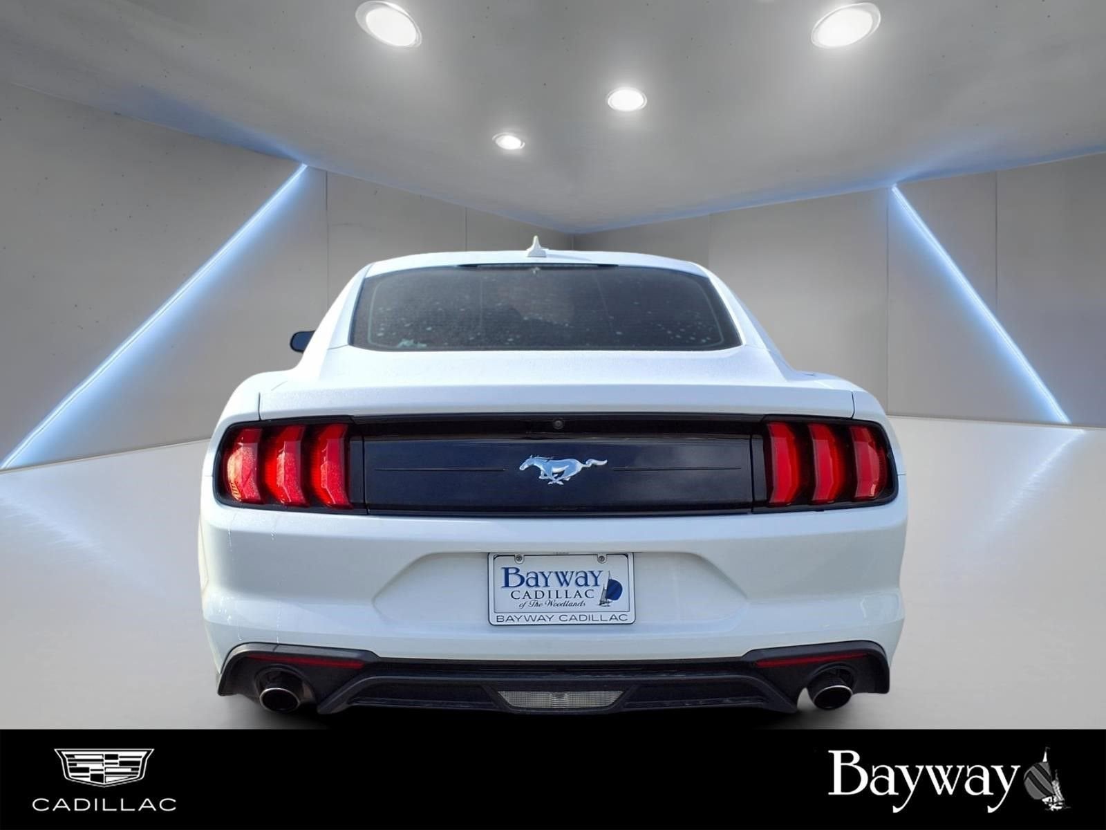 2022 Ford Mustang EcoBoost