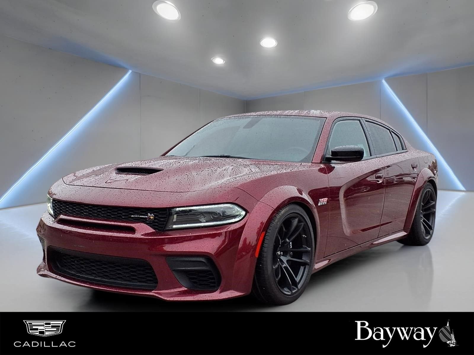 2023 Dodge Charger Scat Pack Widebody's photo