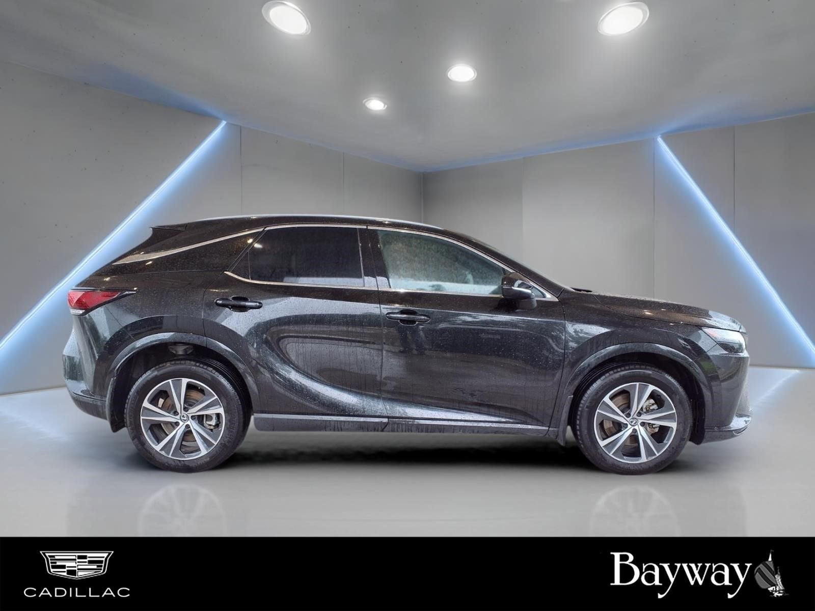 2023 Lexus RX RX 350