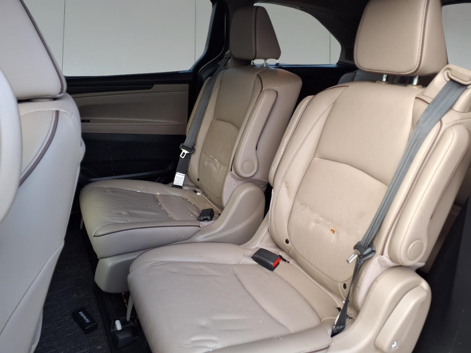 2024 Honda Odyssey Elite