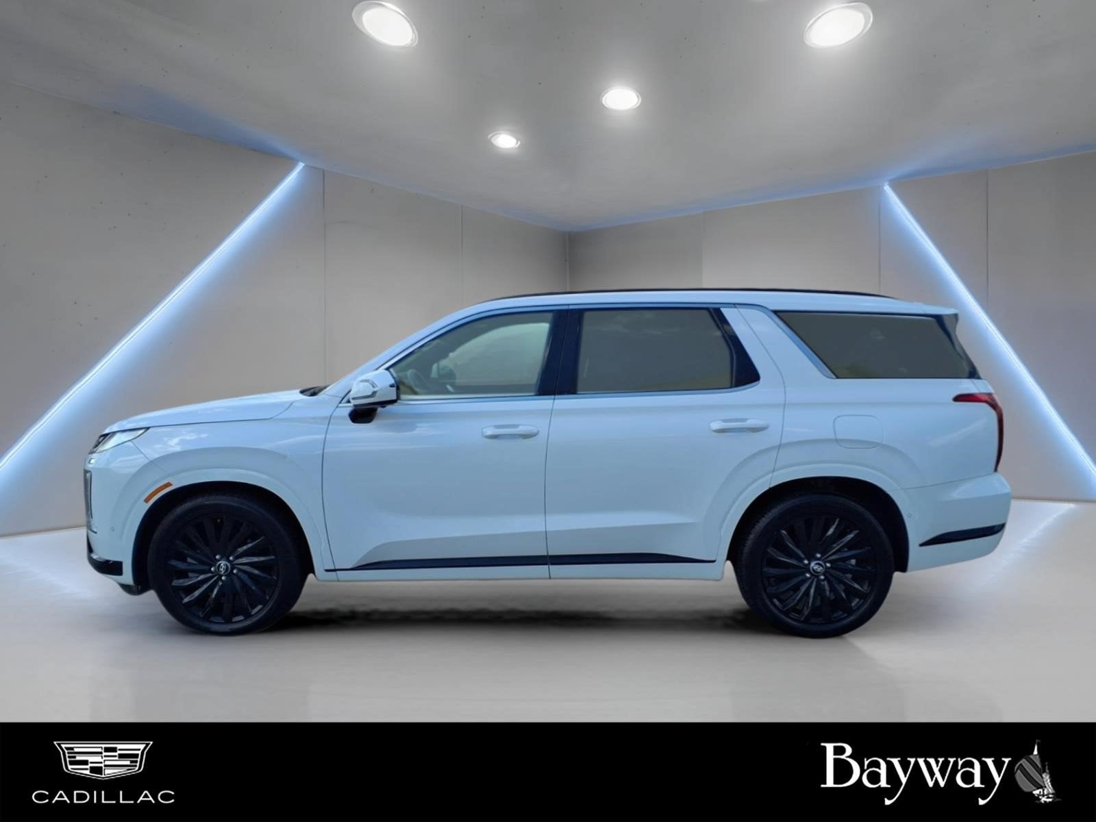 2024 Hyundai Palisade Calligraphy Night Edition