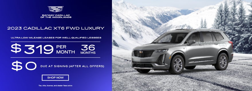 Bayway Cadillac Of The Woodlands